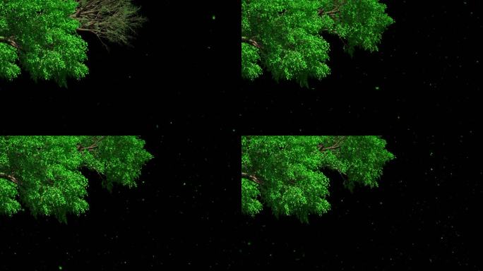 大树绿树枝生长摇曳飘叶-带透明通道