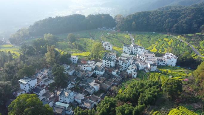 航拍江西省婺源江岭景区油菜花花海风景