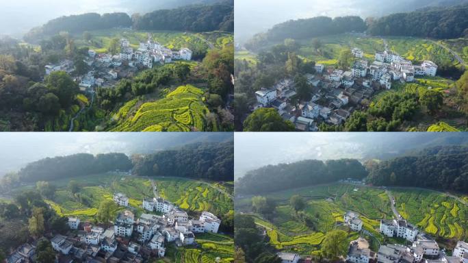 航拍江西省婺源江岭景区油菜花花海风景