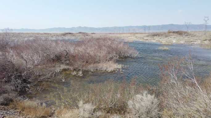 艾比湖湖岸湿地水体