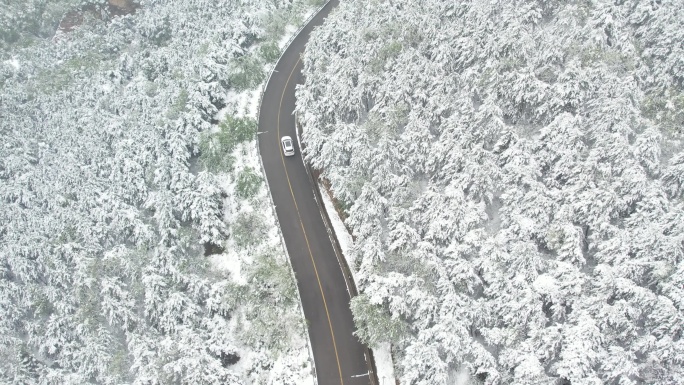 汽车行驶在雪后森林中