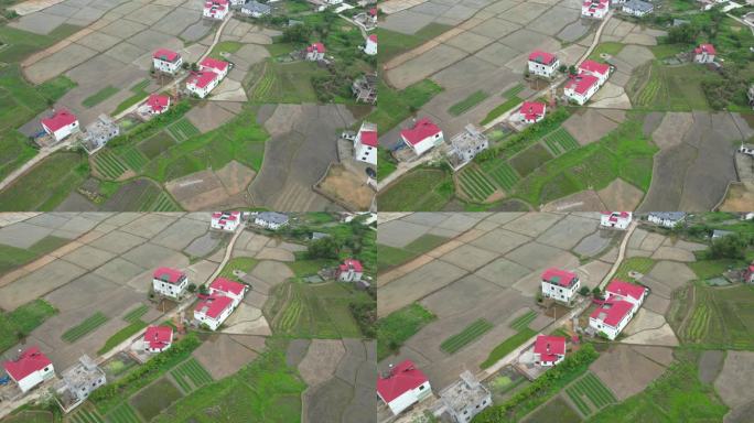 俯瞰航拍高速公路农田春分谷雨