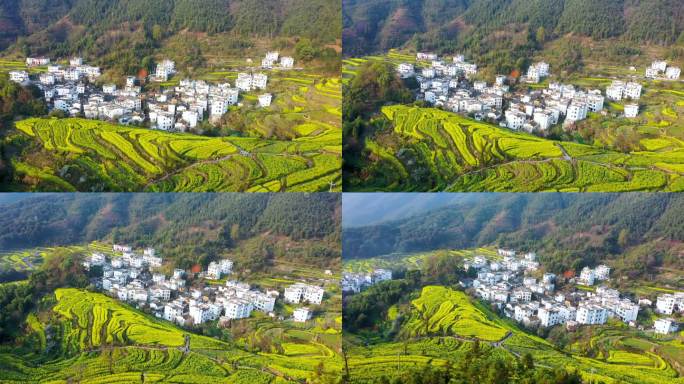 航拍江西省婺源江岭景区油菜花花海风景