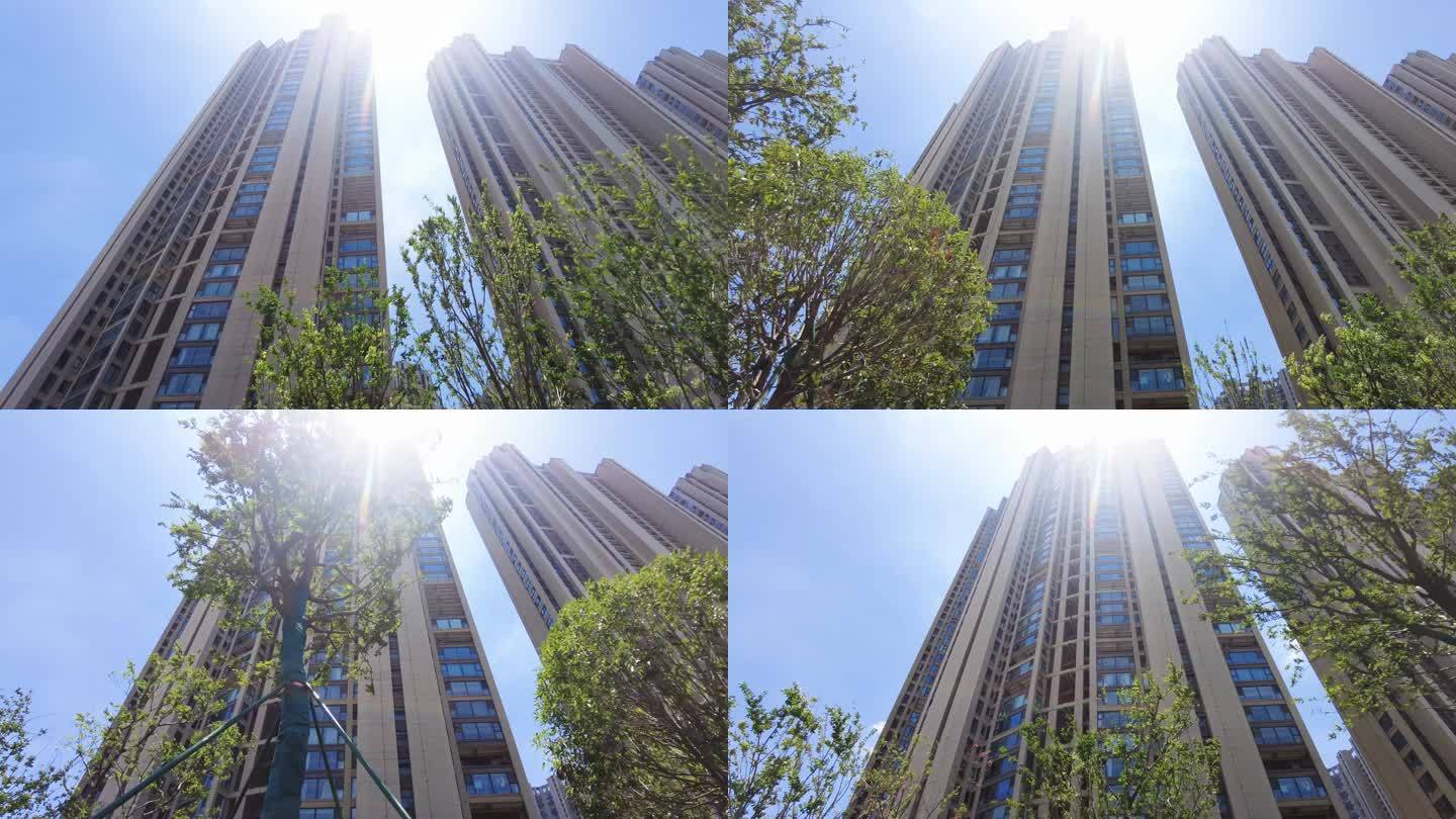 城市的树枝阳光高楼大厦美丽风景