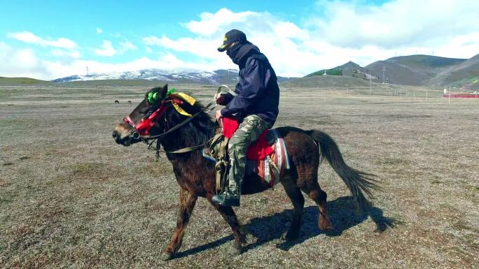 西藏藏区新疆草坪骑马奔跑