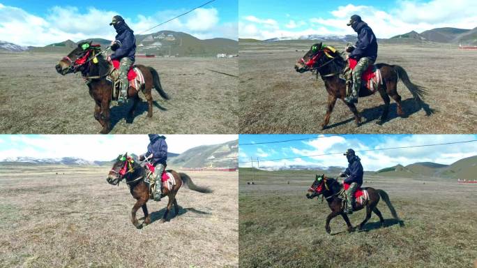 西藏藏区新疆草坪骑马奔跑