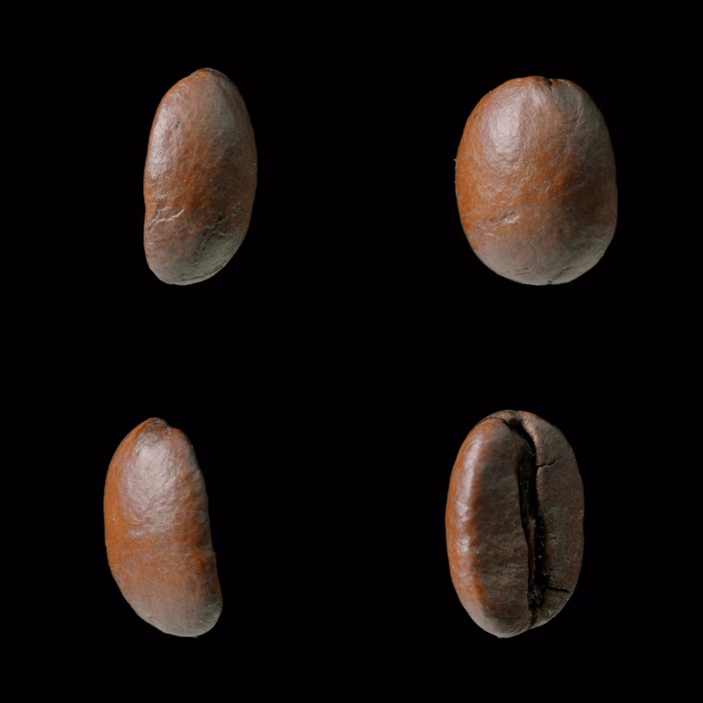4K一粒咖啡豆单独抠图透明背景视频元素