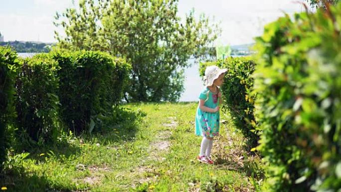 一个可爱的小女孩正在抓昆虫网。