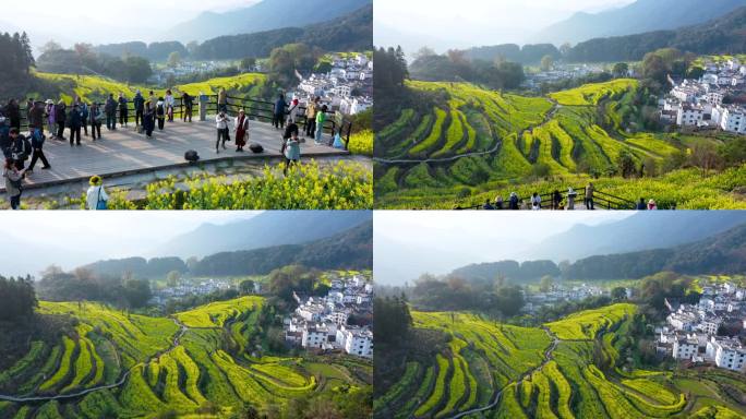 航拍江西省婺源江岭景区油菜花花海风景