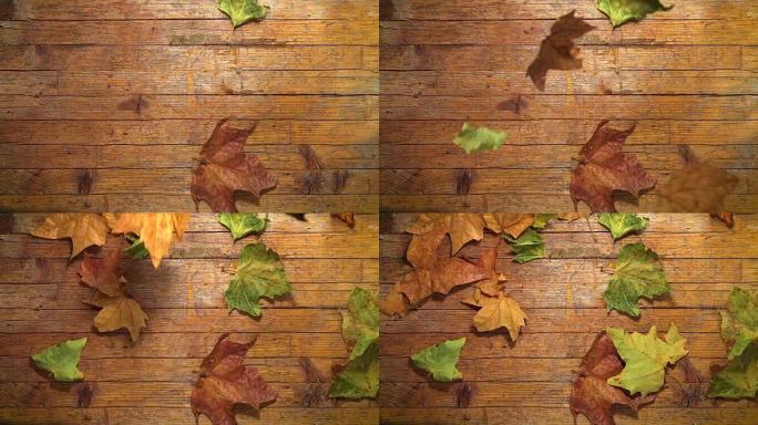 秋天，落叶，木地板