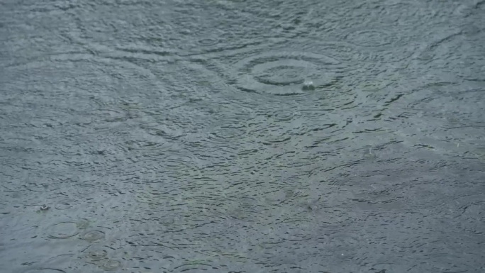 春天谷雨惊蛰古建筑绿植空镜下雨雨景