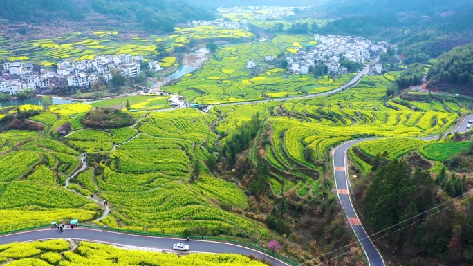 航拍江西省婺源江岭景区油菜花花海风景