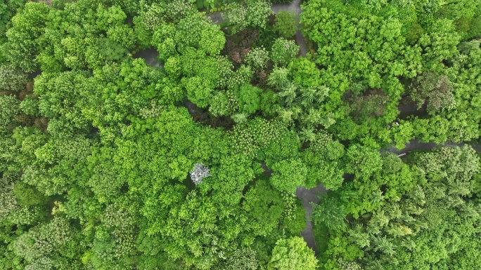 咸阳生态环境咸阳湖二期航拍咸阳宣传片