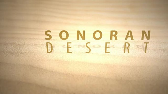 用文本滑过温暖的动画沙漠沙丘 -- 索诺拉沙漠