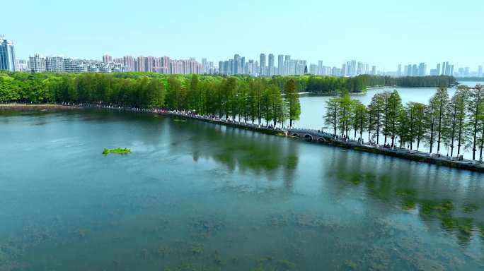 武汉东湖1