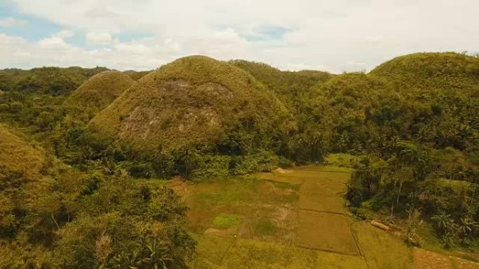 菲律宾薄荷岛的巧克力山，鸟瞰图
