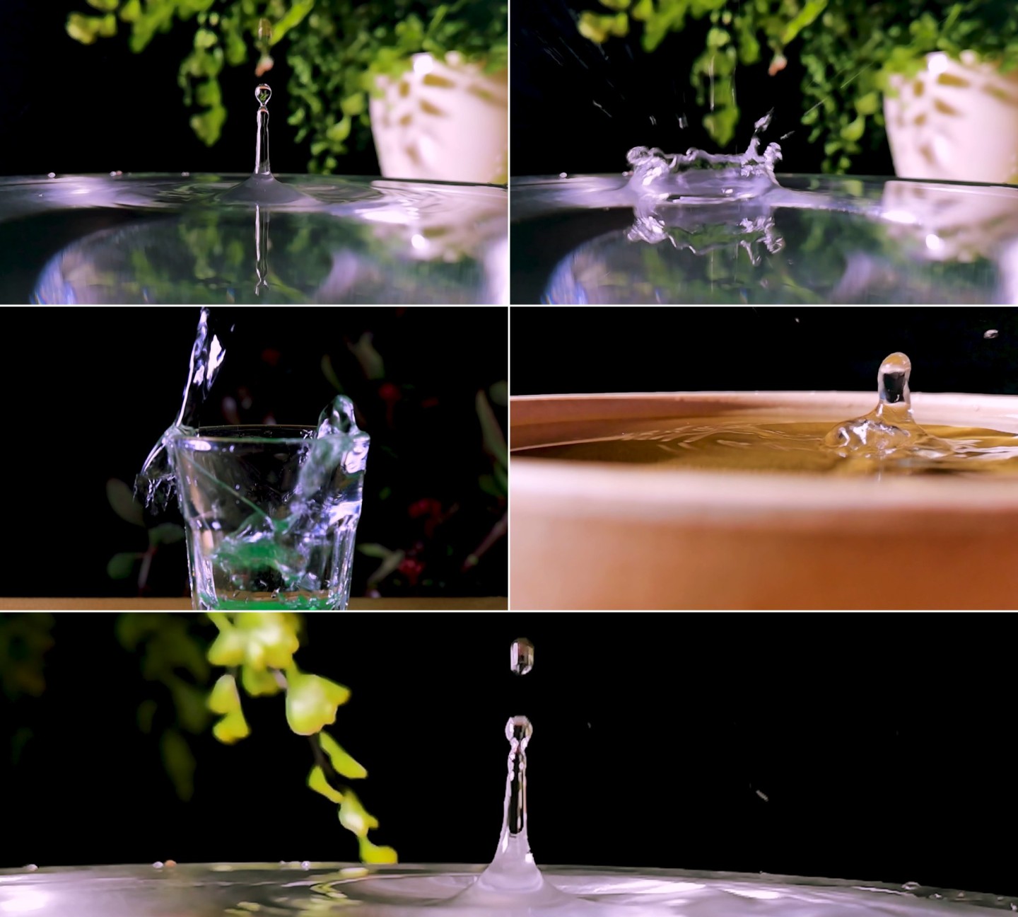 农家酒水自酿白酒酒水酿造特写视频素材
