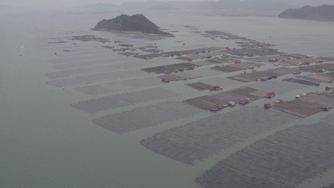 霞浦海参养殖基地航拍