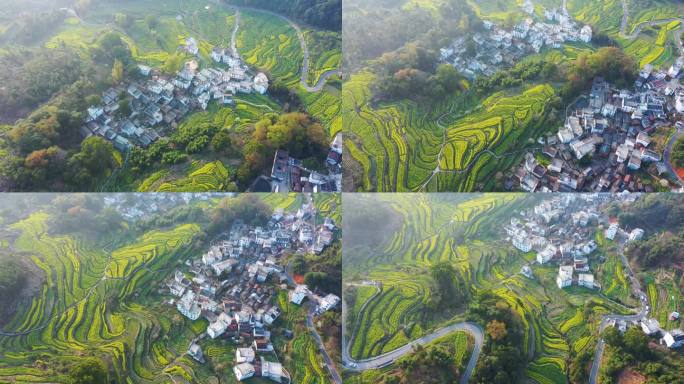 航拍江西省婺源江岭景区油菜花花海风景