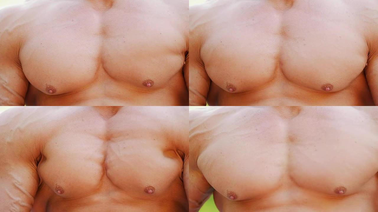 强壮的运动男子，肌肉发达的躯干活动的胸肌