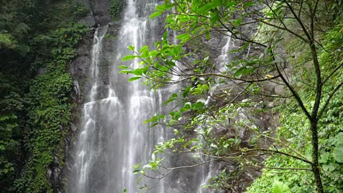 台湾新北市满月园森林游乐区美丽自然瀑布