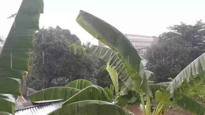 窗户上的雨