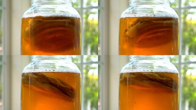 玻璃罐中漂浮的康普茶scoby的4k特写