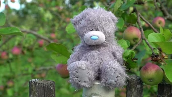 孤独的泰迪熊毛绒儿童玩具坐在老式乡村围栏上
