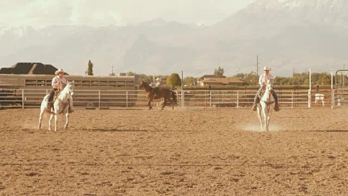 美国牧场盛装舞步骑马