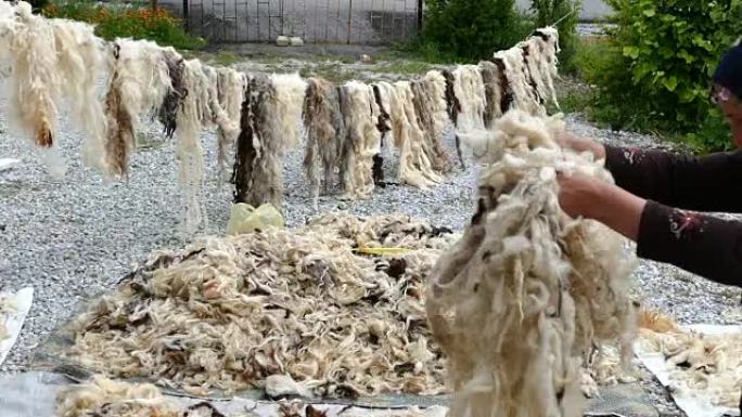 一个女人清洗羊毛，洗过的羊毛被晾干。清洗过的羊毛将是枕头和被子，