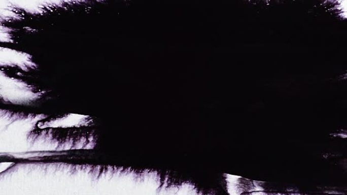 白色背景上的紫色墨水掉在水中