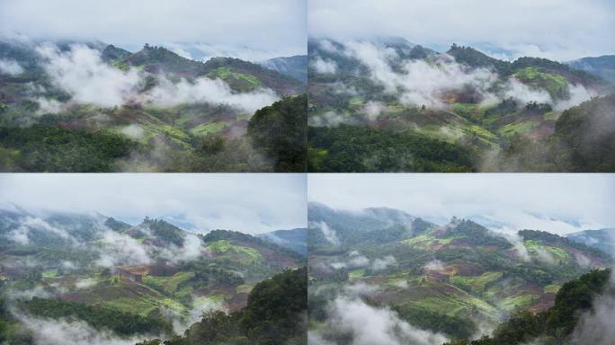 泰国北部下雨后有雾的山景