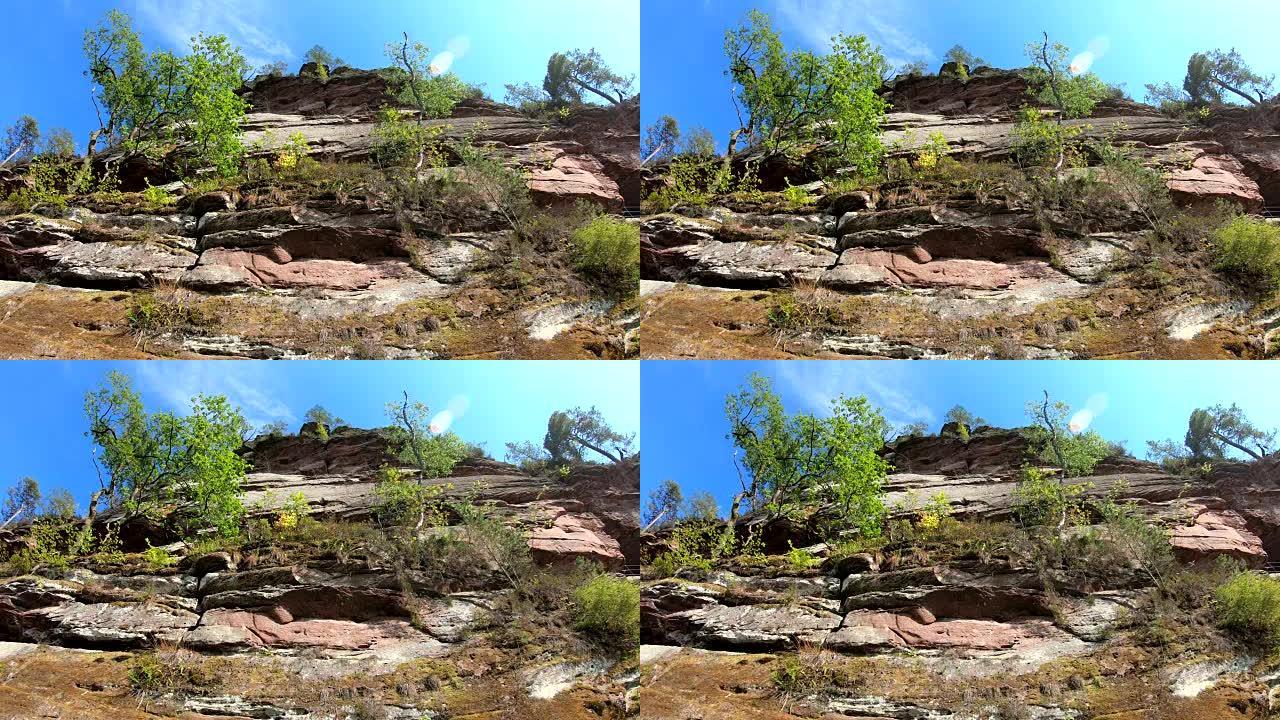 砂岩岩石与树木，岩石表面，b ü ttelfelsen，Dahner Felsenland，s ü 