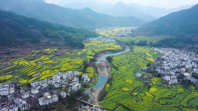 航拍江西省婺源江岭景区油菜花花海风景