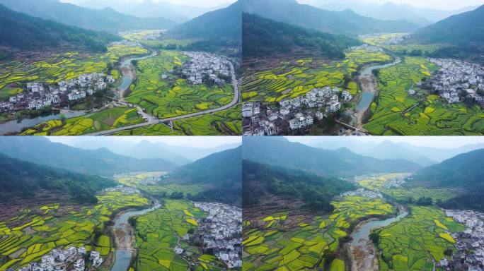 航拍江西省婺源江岭景区油菜花花海风景