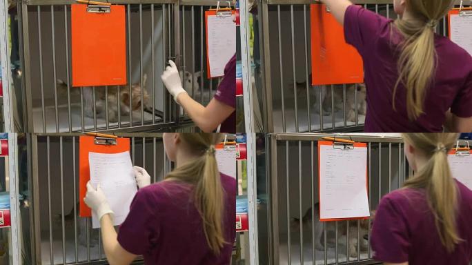 年轻女兽医将一只小狗放在笼子里