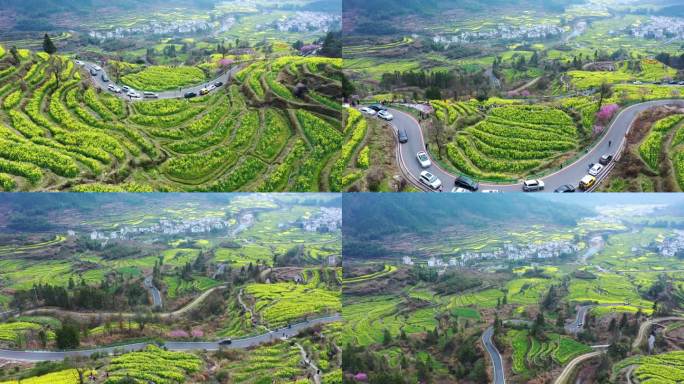 航拍江西省婺源江岭景区油菜花花海风景