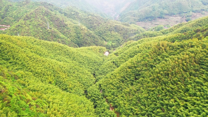 浙江黄岩布袋山石人峡航拍视频素材