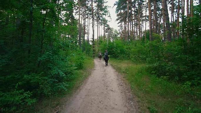 骑马的女骑手在穿过森林的小路上骑行