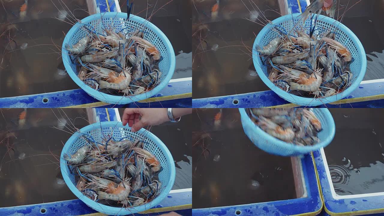 在泰国市场上购买巨型淡水虾