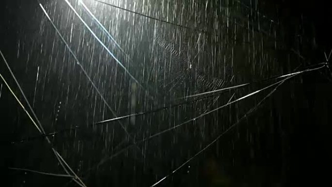 大雨时挂在电线上的蜘蛛网