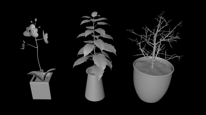 花瓶 花盆 模型（C4D 模型 文件）