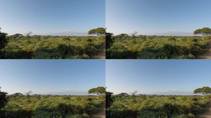 肯尼亚的风景与乞力马扎罗山