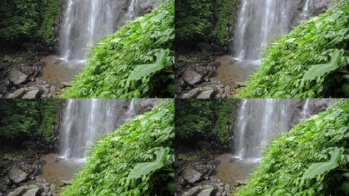 台湾新北市满月园森林游乐区美丽自然瀑布