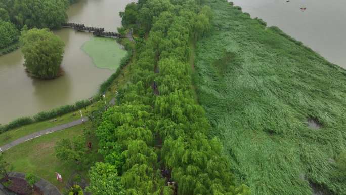 雨天迷你马拉松欢呼招手航拍城市欢乐跑