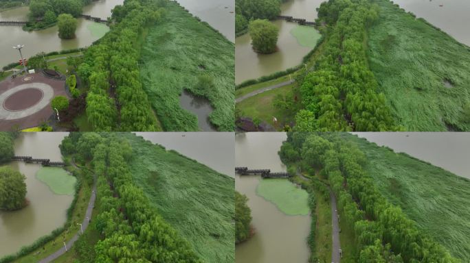 雨天迷你马拉松欢呼招手航拍城市欢乐跑