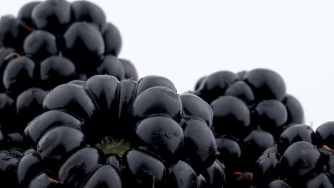 几个黑莓旋转的宏在转盘上隔离在白色背景上。