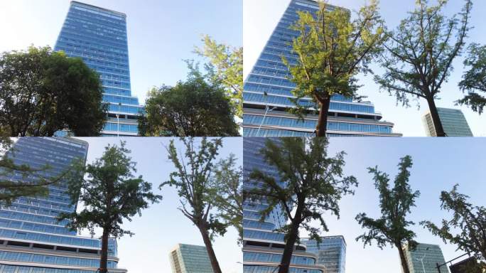 城市高楼大厦树林仰视
