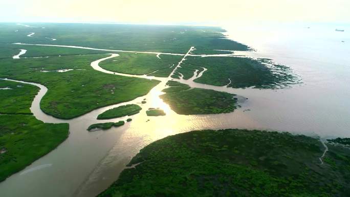 航拍上海长江口九段沙湿地