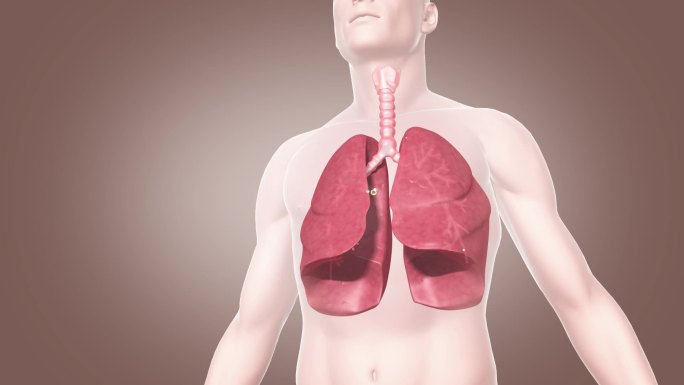呼吸道感染 气管炎 祛痰 止咳
